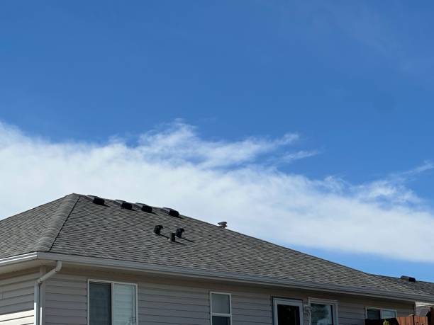 Best Asphalt Shingle Roofing  in Mccoll, SC
